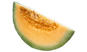 Melon