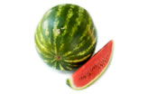 Sandia